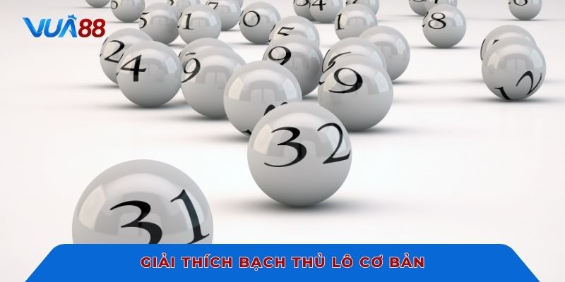 Giải thích bạch thủ lô cơ bản