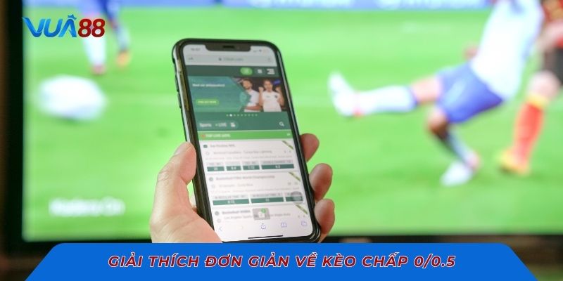 Giải thích đơn giản về kèo chấp 0/0.5