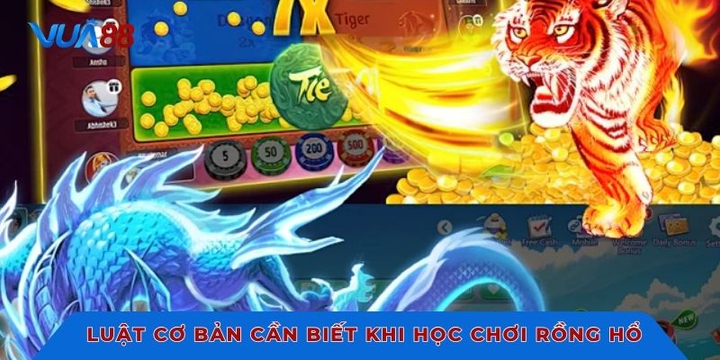 Luật cơ bản cần biết khi học chơi rồng hổ