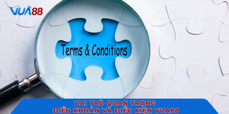 Vai trò quan trọng điều khoản và điều kiện VUA88